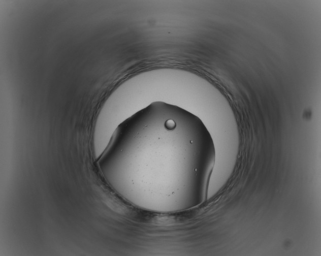 X0000094180413200711241557