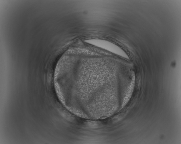 X0000094180417200711241557