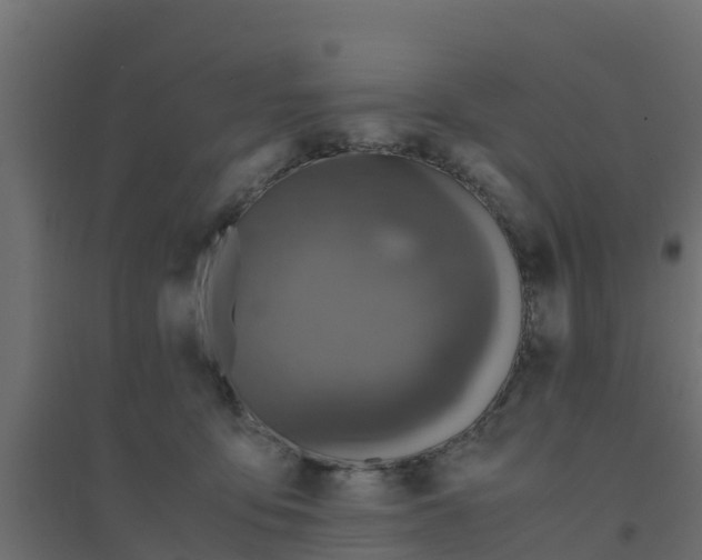 X0000094180419200711241557