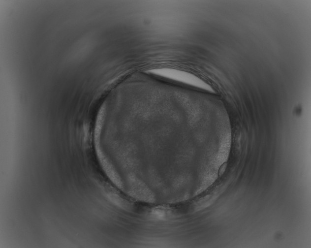 X0000094180420200711241557