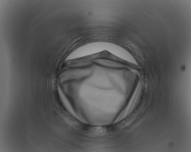 X0000094180421200711241557