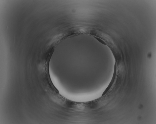 X0000094180423200711241557