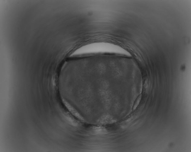 X0000094180424200711241557