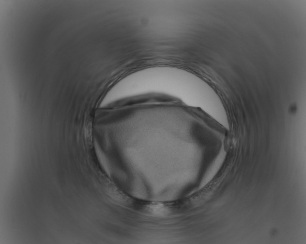 X0000094180425200711241557