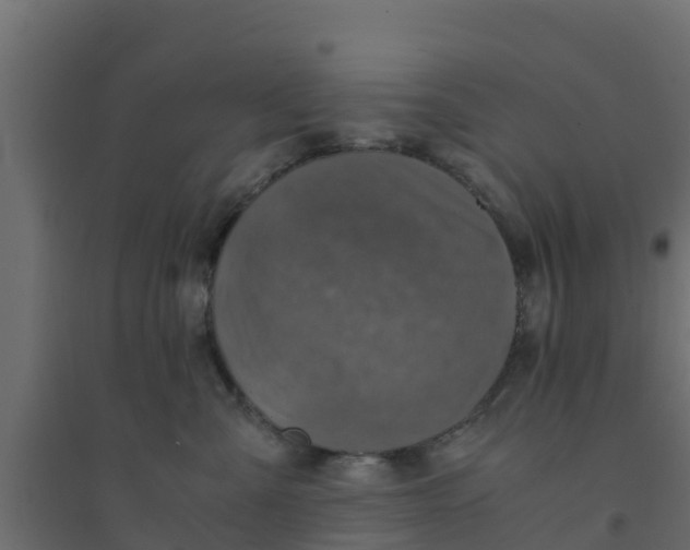 X0000094180427200711241557