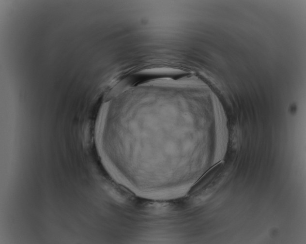 X0000094180428200711241557