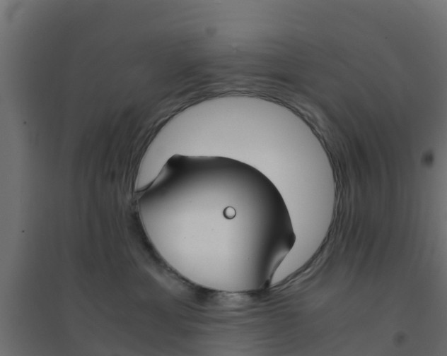X0000094180429200711241557