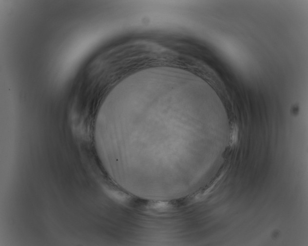 X0000094180431200711241557