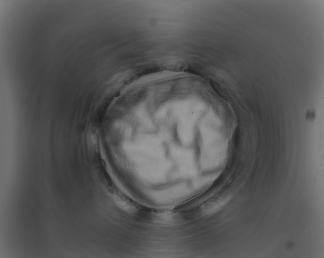 X0000094180432200711241557