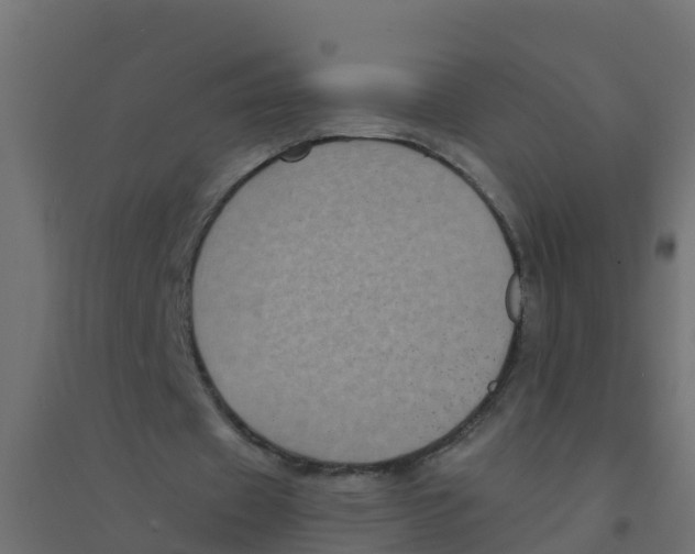 X0000094180433200711241556