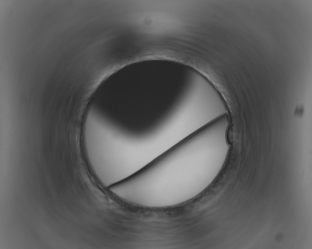 X0000094180434200711241556