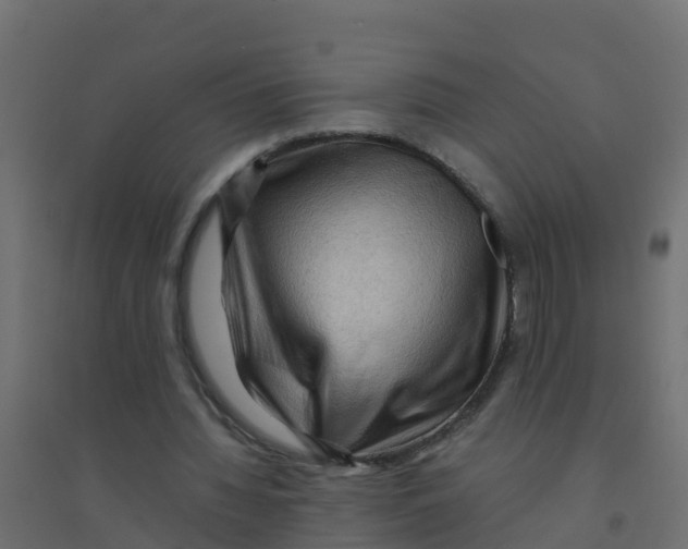 X0000094180436200711241556