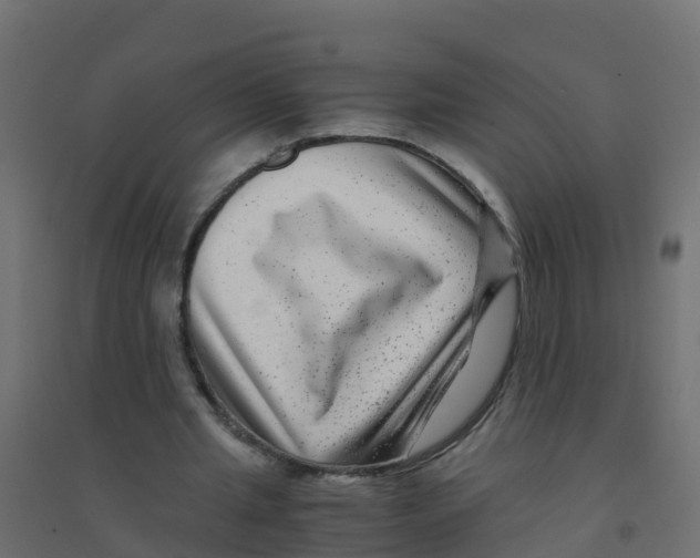 X0000094180437200711241556