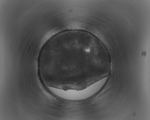 X0000094180438200711241556