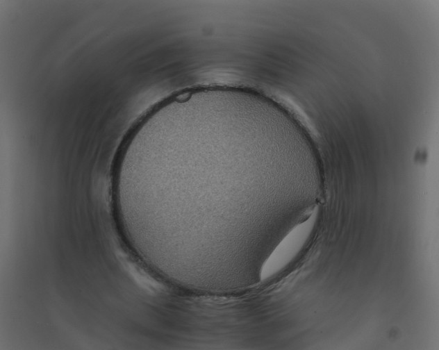 X0000094180439200711241556