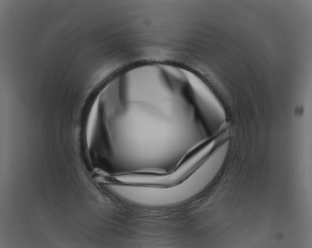 X0000094180440200711241556