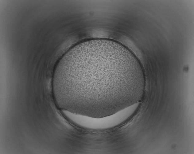 X0000094180441200711241556