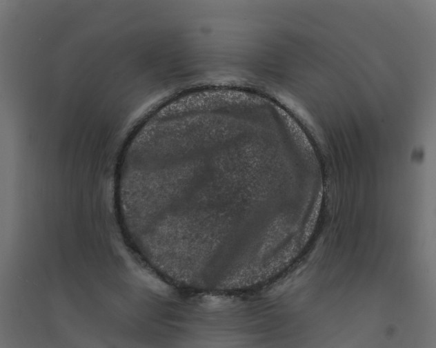 X0000094180442200711241556