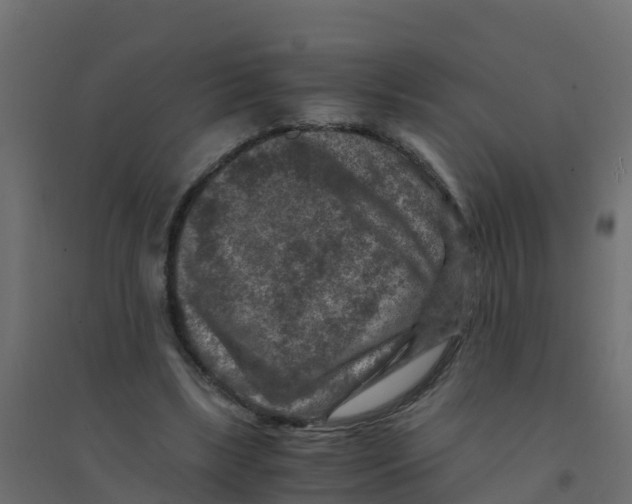 X0000094180443200711241556
