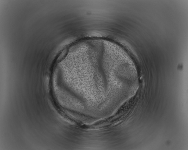 X0000094180444200711241556