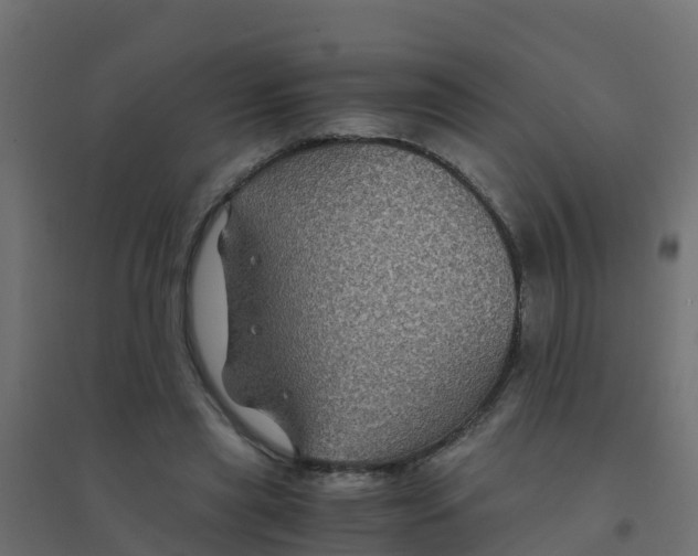 X0000094180445200711241556