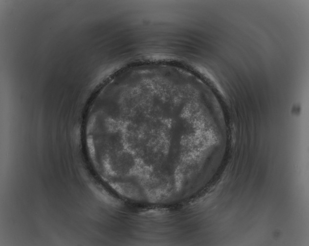 X0000094180447200711241556