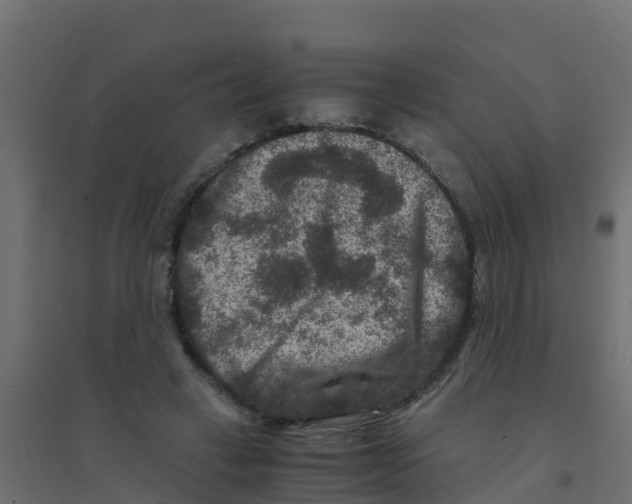 X0000094180449200711241556