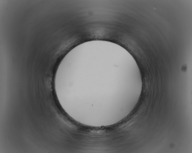 X0000094180450200711241557