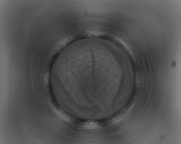 X0000094180451200711241557