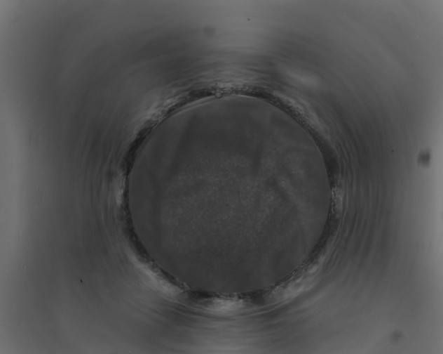 X0000094180458200711241557