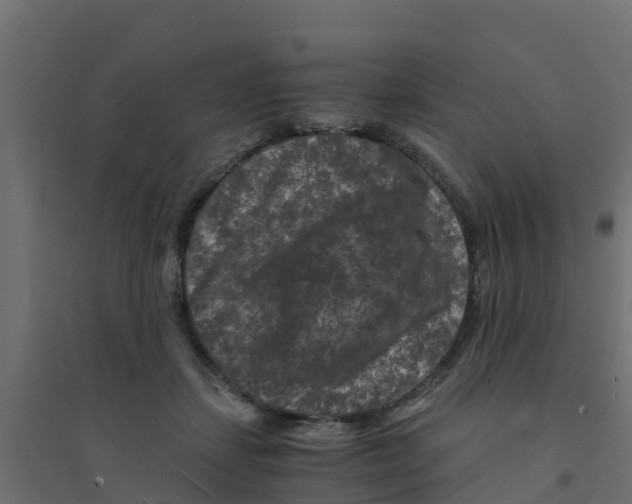 X0000094180459200711241557