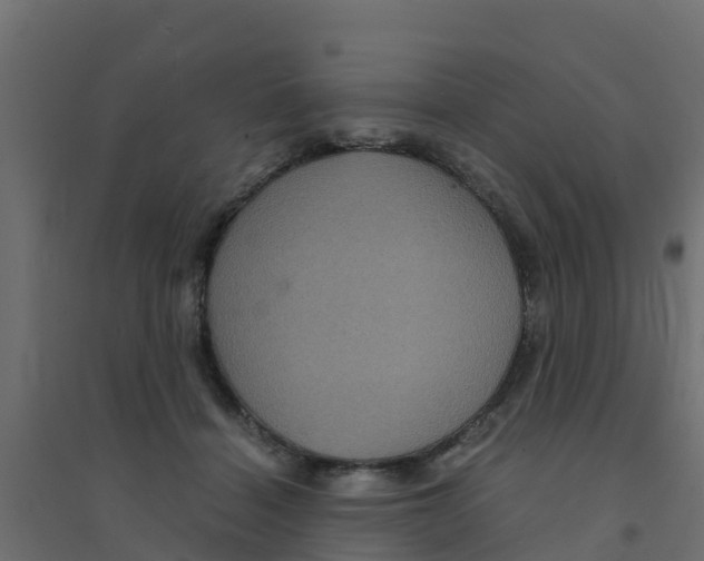 X0000094180460200711241557