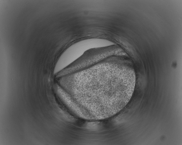 X0000094180461200711241557