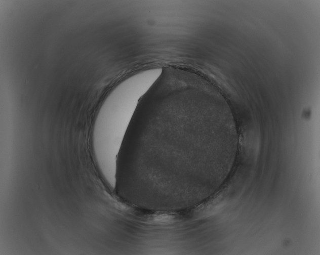 X0000094180462200711241557