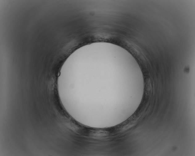 X0000094180463200711241557