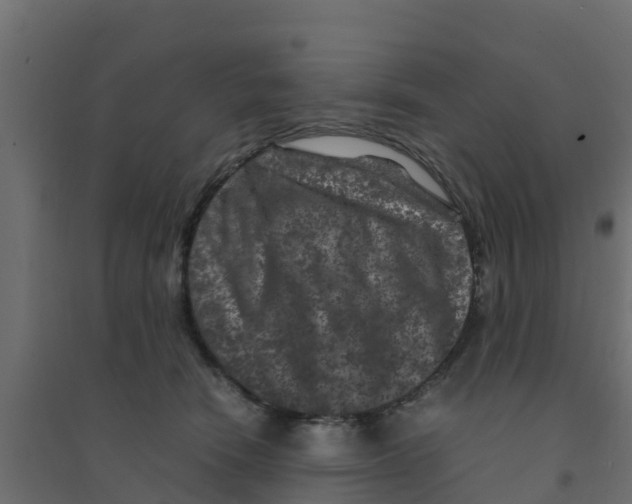 X0000094180466200711241557