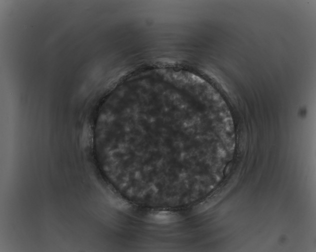 X0000094180467200711241557
