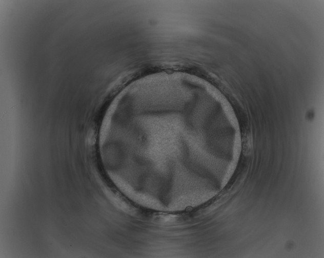X0000094180472200711241557