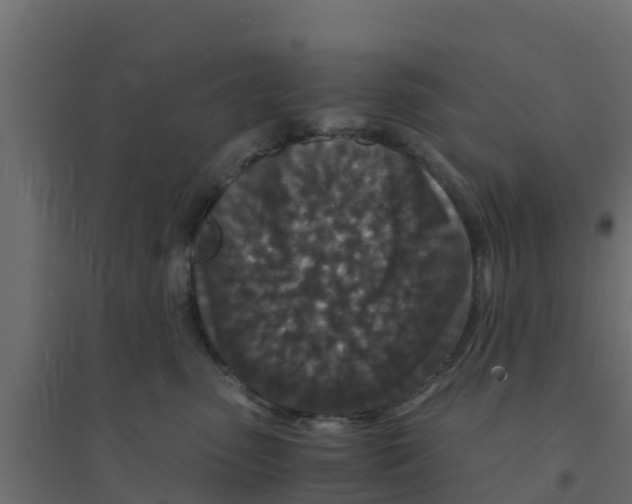 X0000094180475200711241557