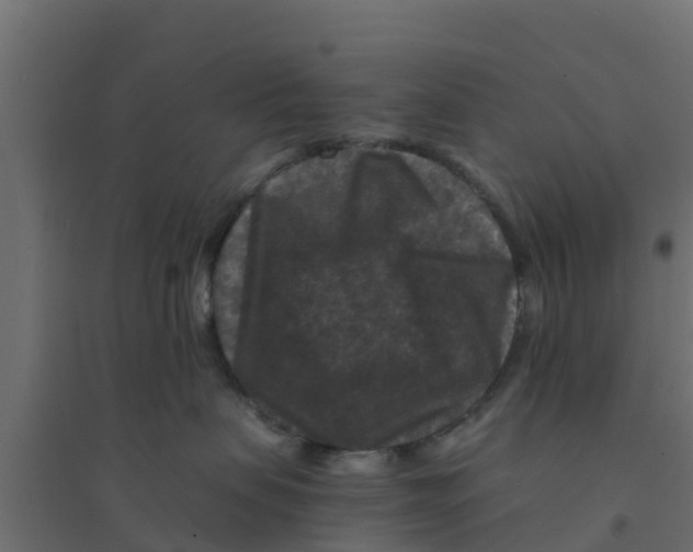 X0000094180479200711241557