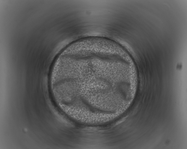 X0000094180482200711241556