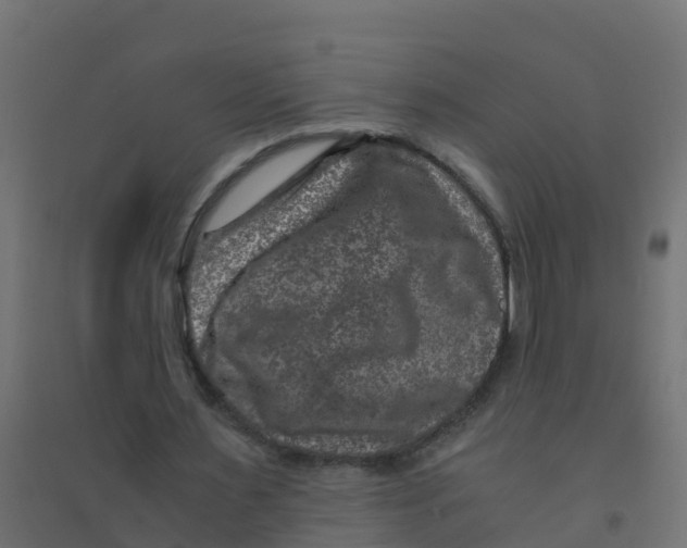 X0000094180483200711241556