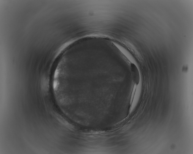 X0000094180484200711241556