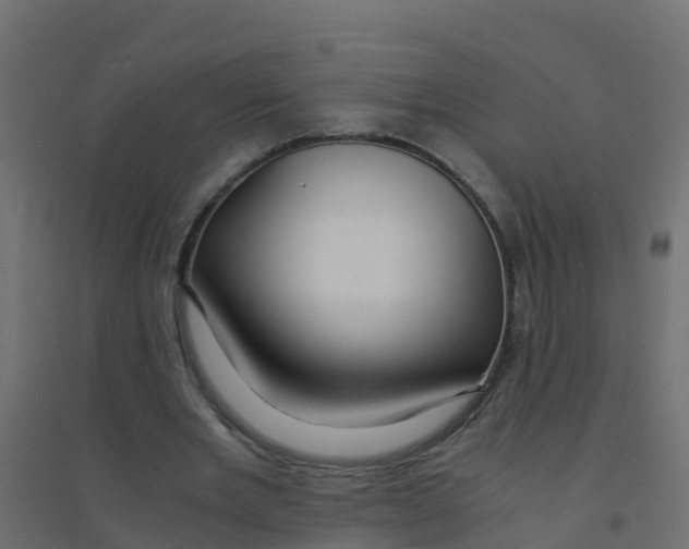 X0000094180485200711241556
