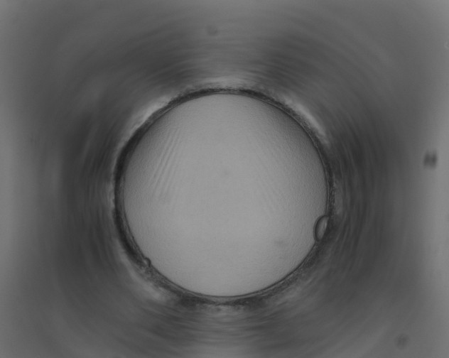 X0000094180486200711241556
