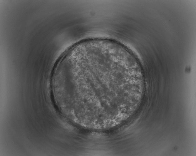 X0000094180487200711241556