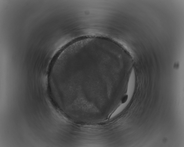 X0000094180488200711241556