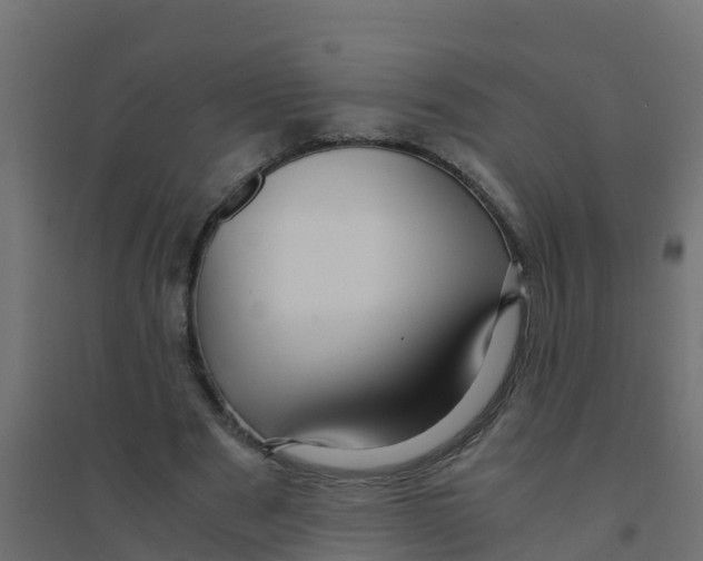 X0000094180489200711241556