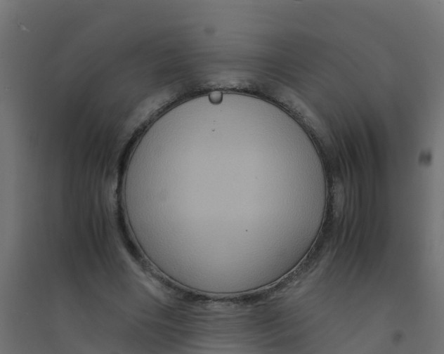 X0000094180490200711241556