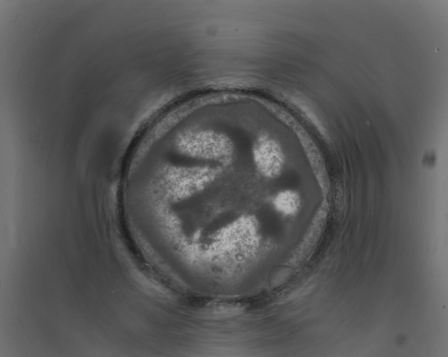 X0000094180491200711241556